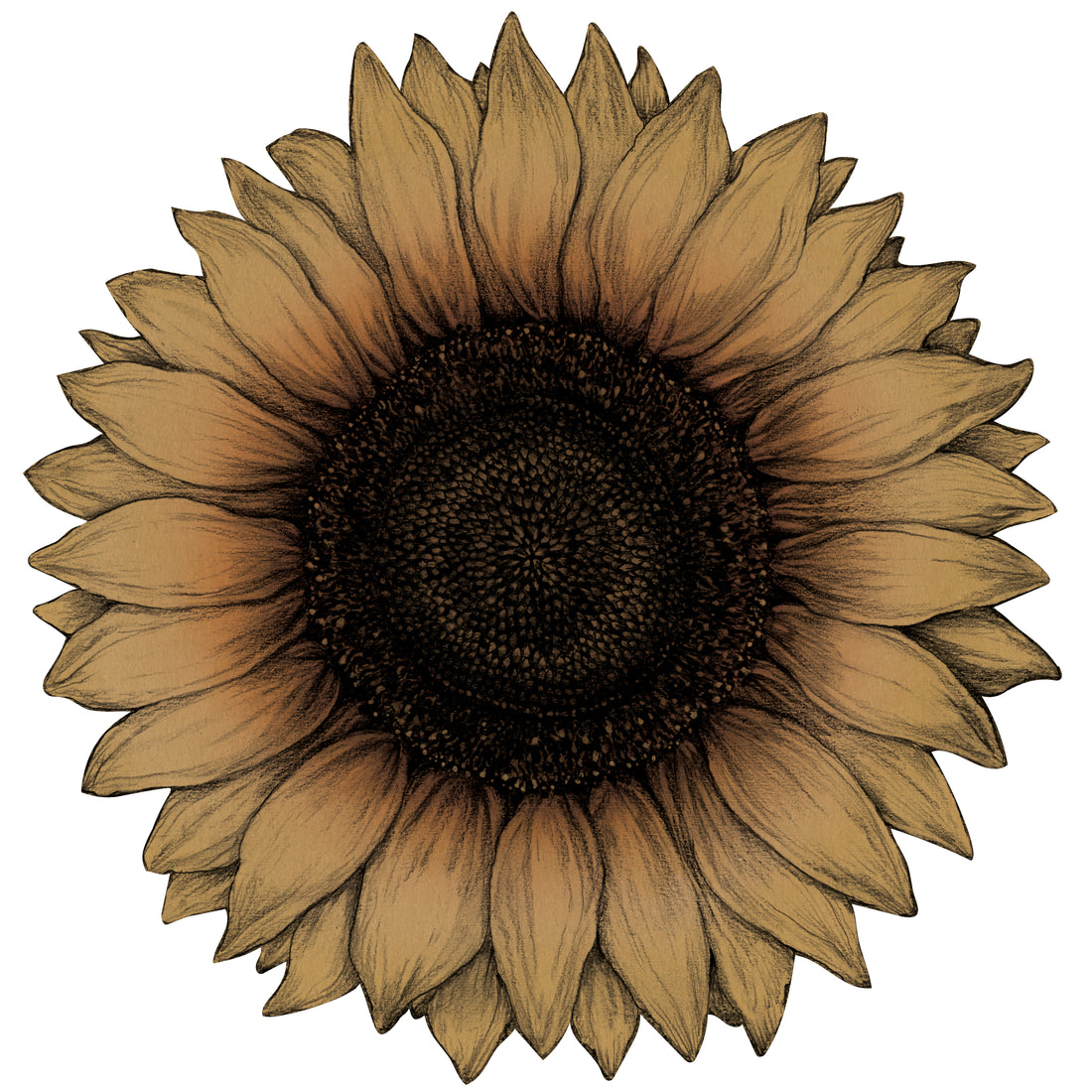 Die-cut Vintage Sunflower Placemat featuring an illustration of a sunflower in autumn hues.