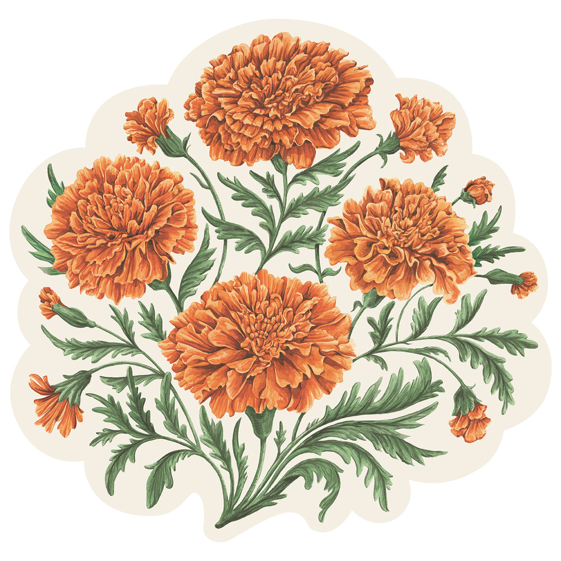 Illustration of five orange marigold flowers with green leaves and stems on a light background.