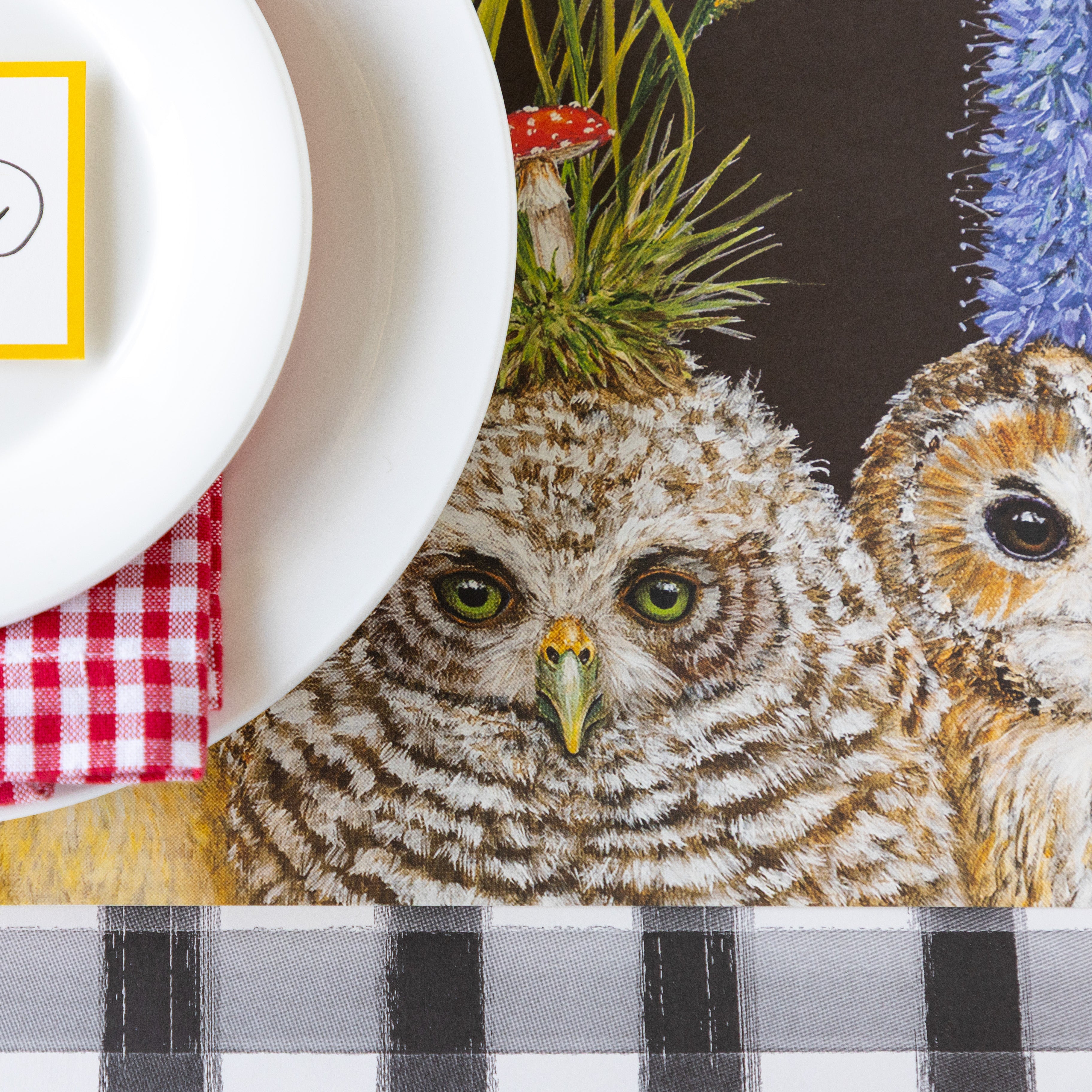 A close up of the Baby Owls Placemat under a place setting and Black Painted Check Runner underneath.