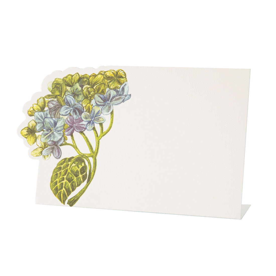 Hester & Cook Hydrangea place cards are an elegant addition to any event. These unique place cards feature multicolored blooms, adding a touch of natural beauty to your table setting.