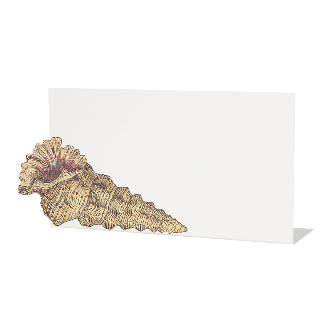 The Shell Place Card featuring a shell in the corner and white space for writing.