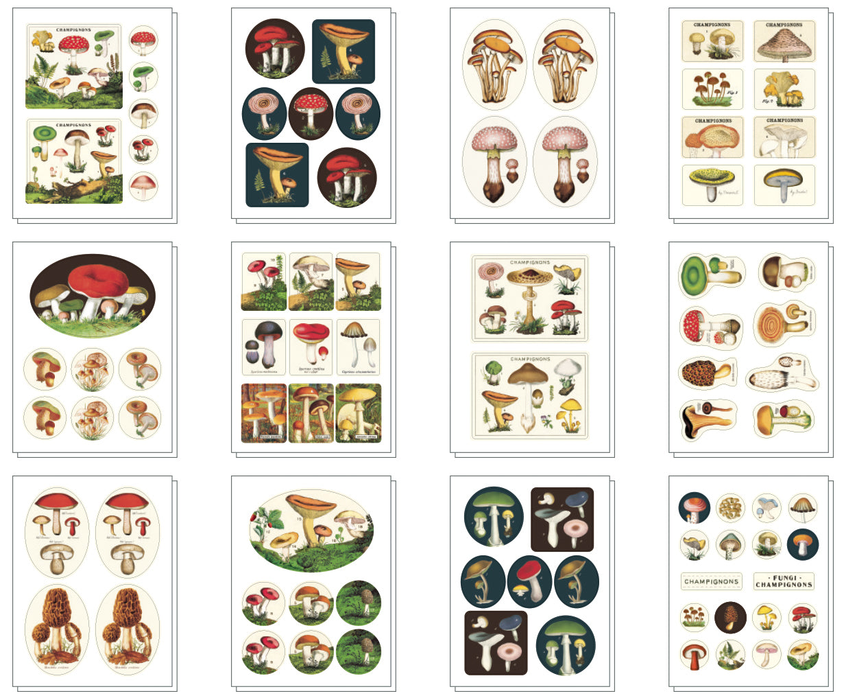 Mushrooms 5.25" x 4.75" tin containing a curated collection of vintage-inspired stickers featuring images from the Cavallini archives.