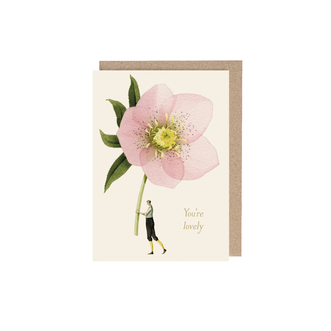 Pink Hellebore (You&