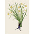 An illustration of a miniature man holding a large bundle of daffodils.