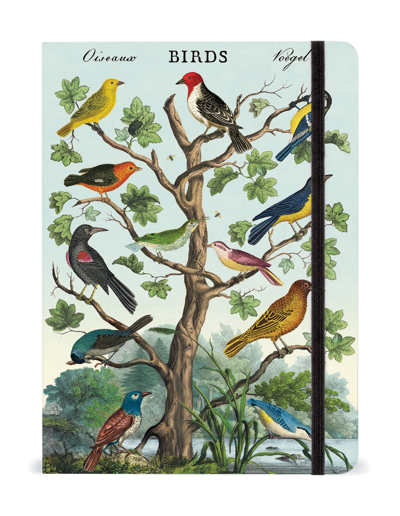 Birds Notebook by Cavallini featuring a vintage illustration of various birds in the wild, and an elastic closure.