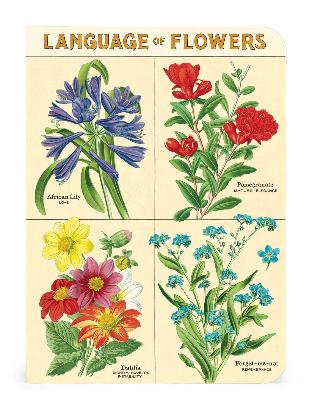 A Language of Flowers Notebook with four sections with a different flower illustration in each, including the African Lily, Pomegranate, Dahlia and Forget-me-not.