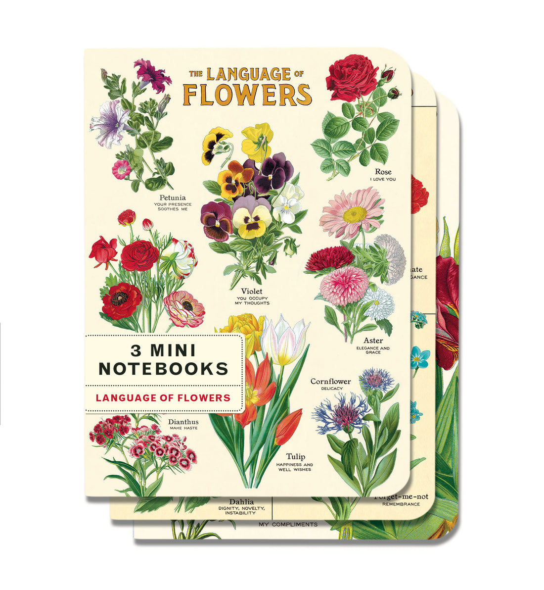 Three Language of Flowers Mini Notebooks by Cavallini featuring vintage images from the Cavallini archive.