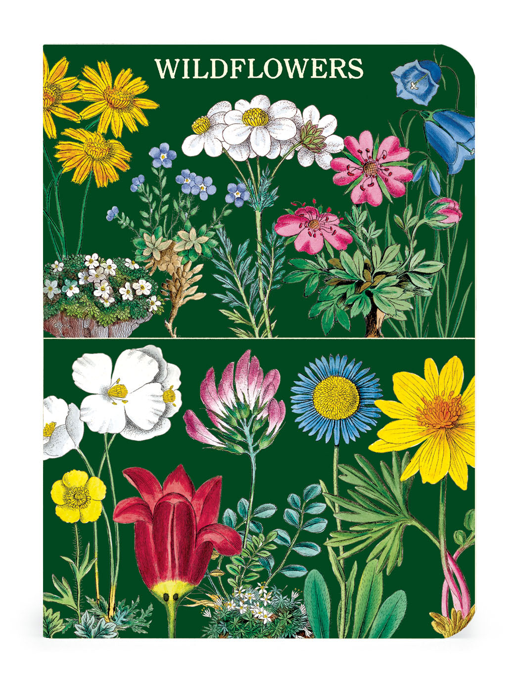 A Wildflowers Notebook featuring vintage illustrations of wildflowers from the Cavallini Archives.
