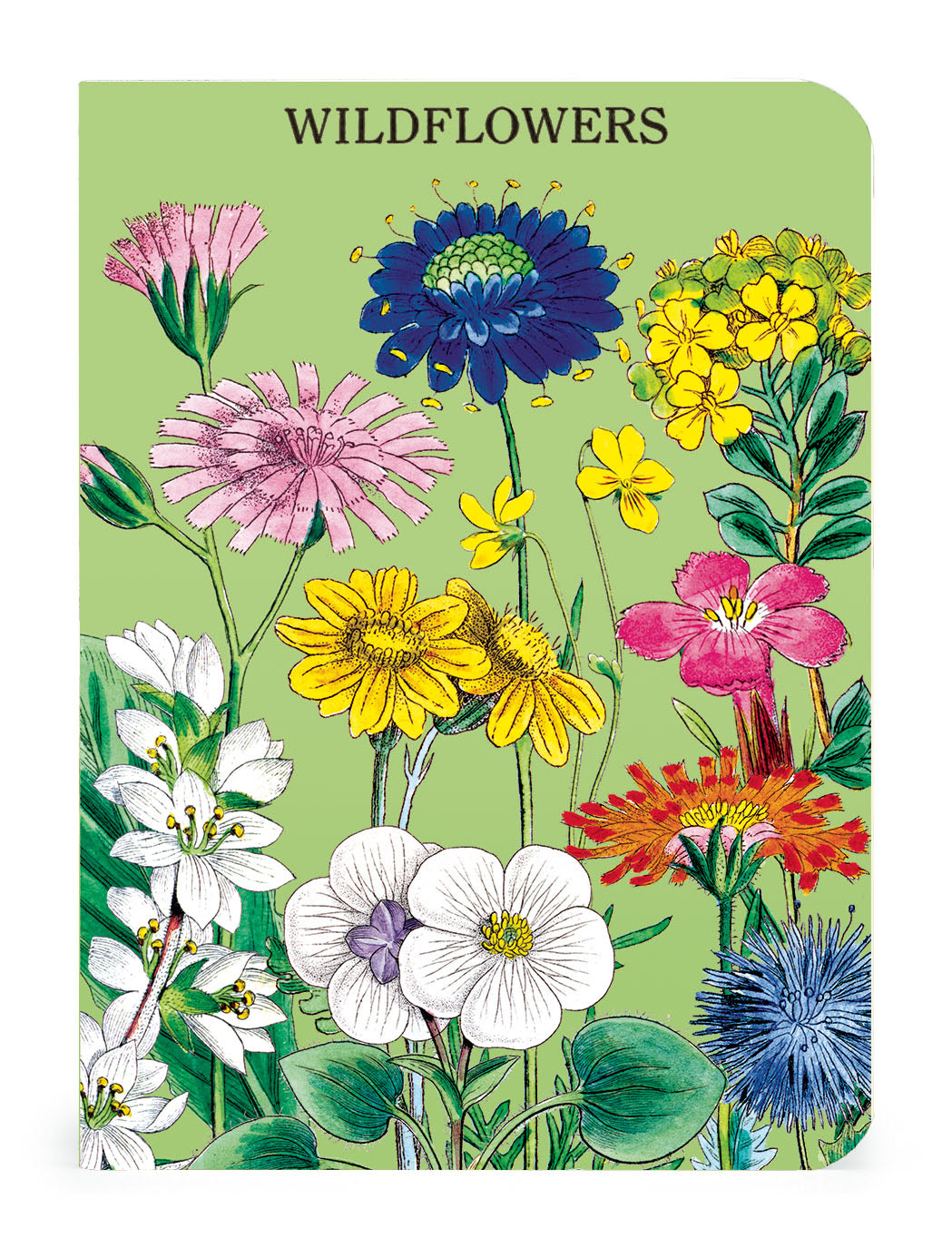 A Wildflowers Notebook featuring vintage illustrations of wildflowers from the Cavallini Archives.