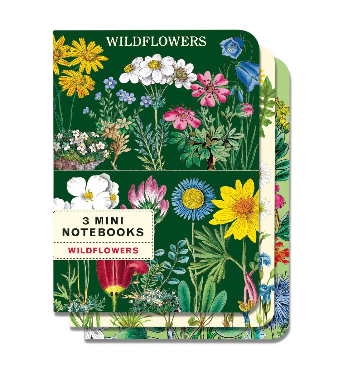Wildflowers 2 Mini Notebooks Set of 3 featuring vintage images from the Cavallini Archives.