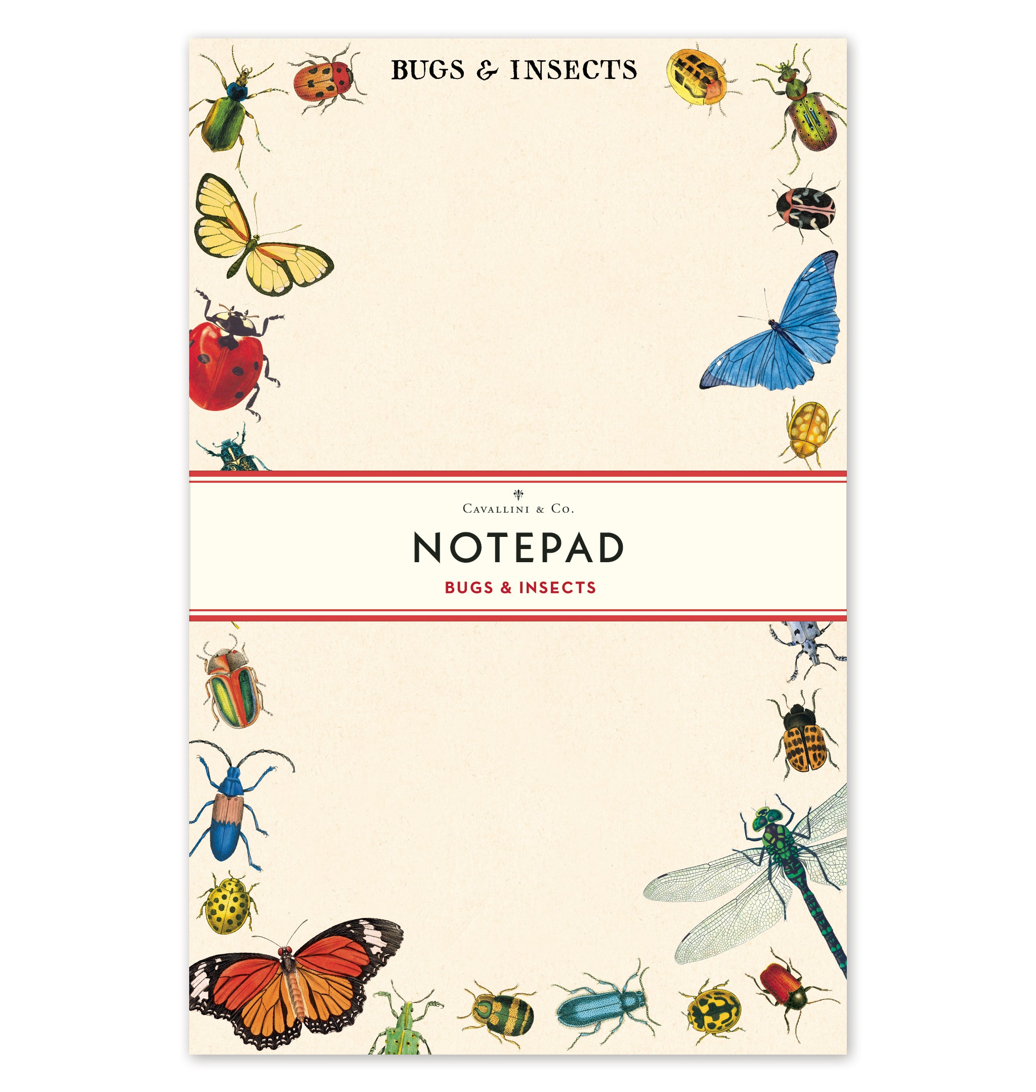 Bugs &amp; Insects Notepad from Cavallini Papers &amp; Co archives, bordered with illustrated bugs and insects for nature lovers.