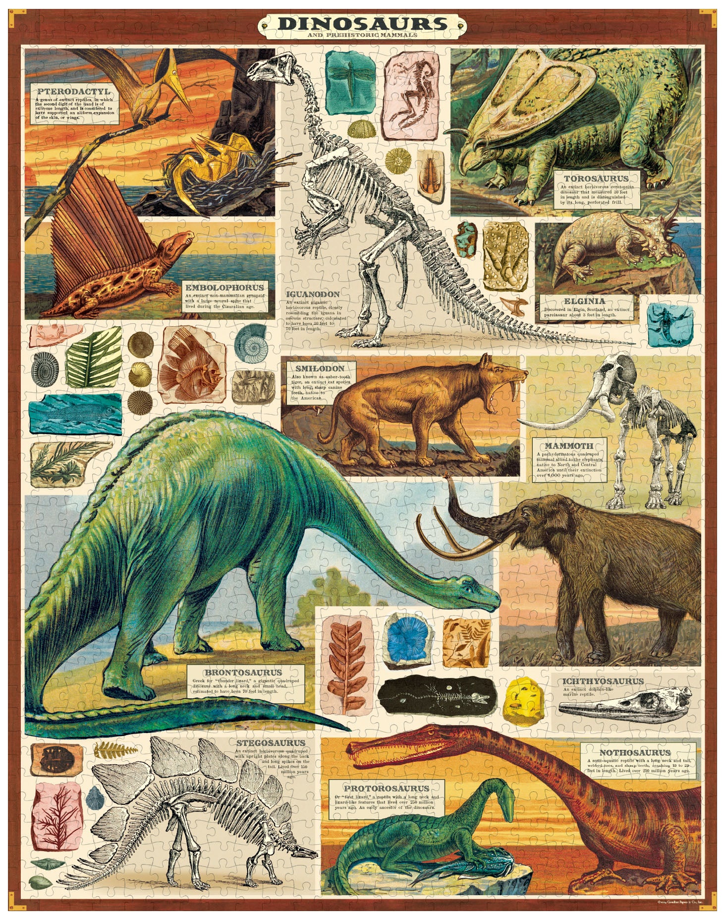 The assembled 1000 piece Dinosaurs puzzle showing vintage images of dinosaurs and their skeletons with a brown border.