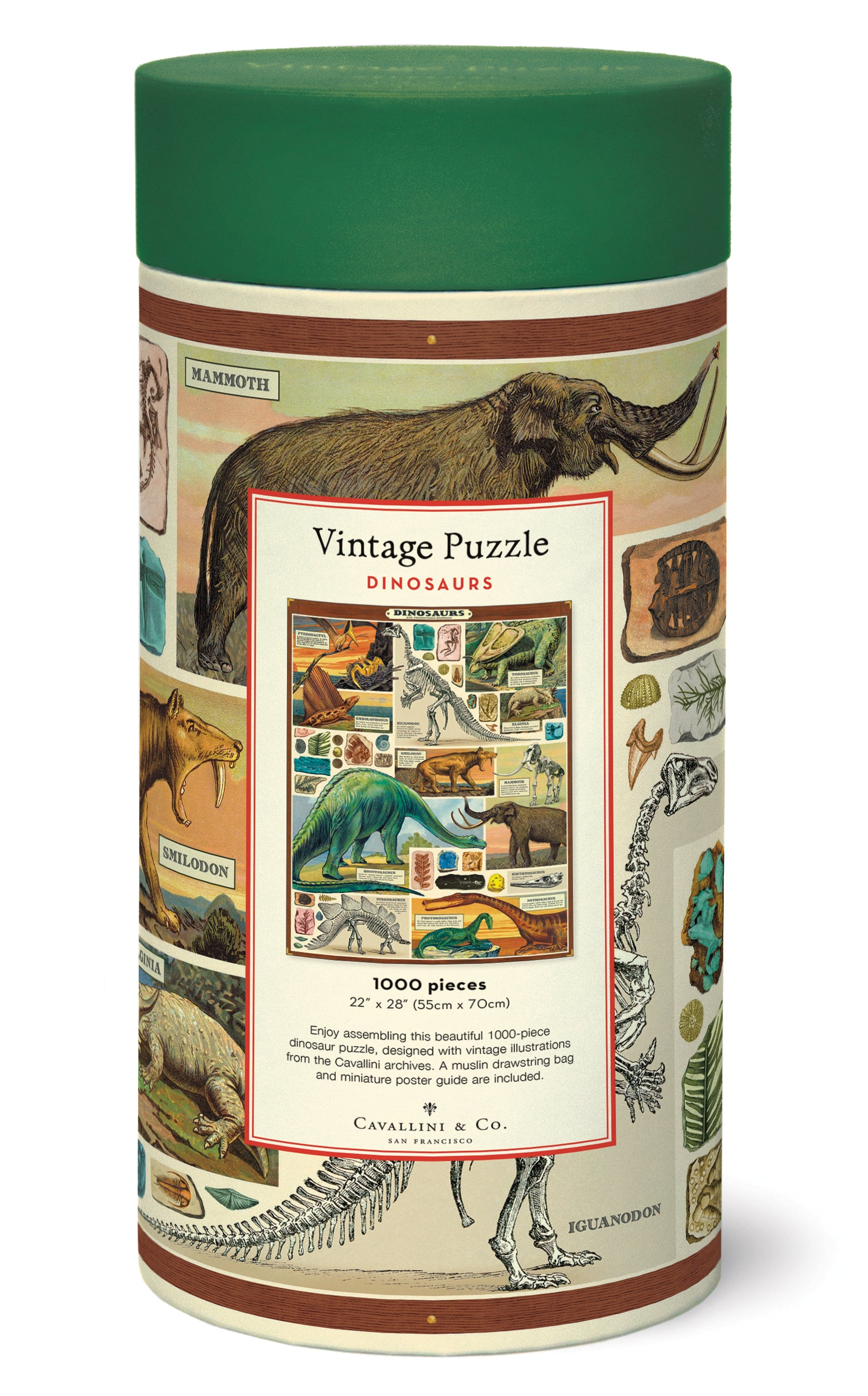 The back of the Dinosaurs Puzzle box showing the assembled puzzle and additional information.