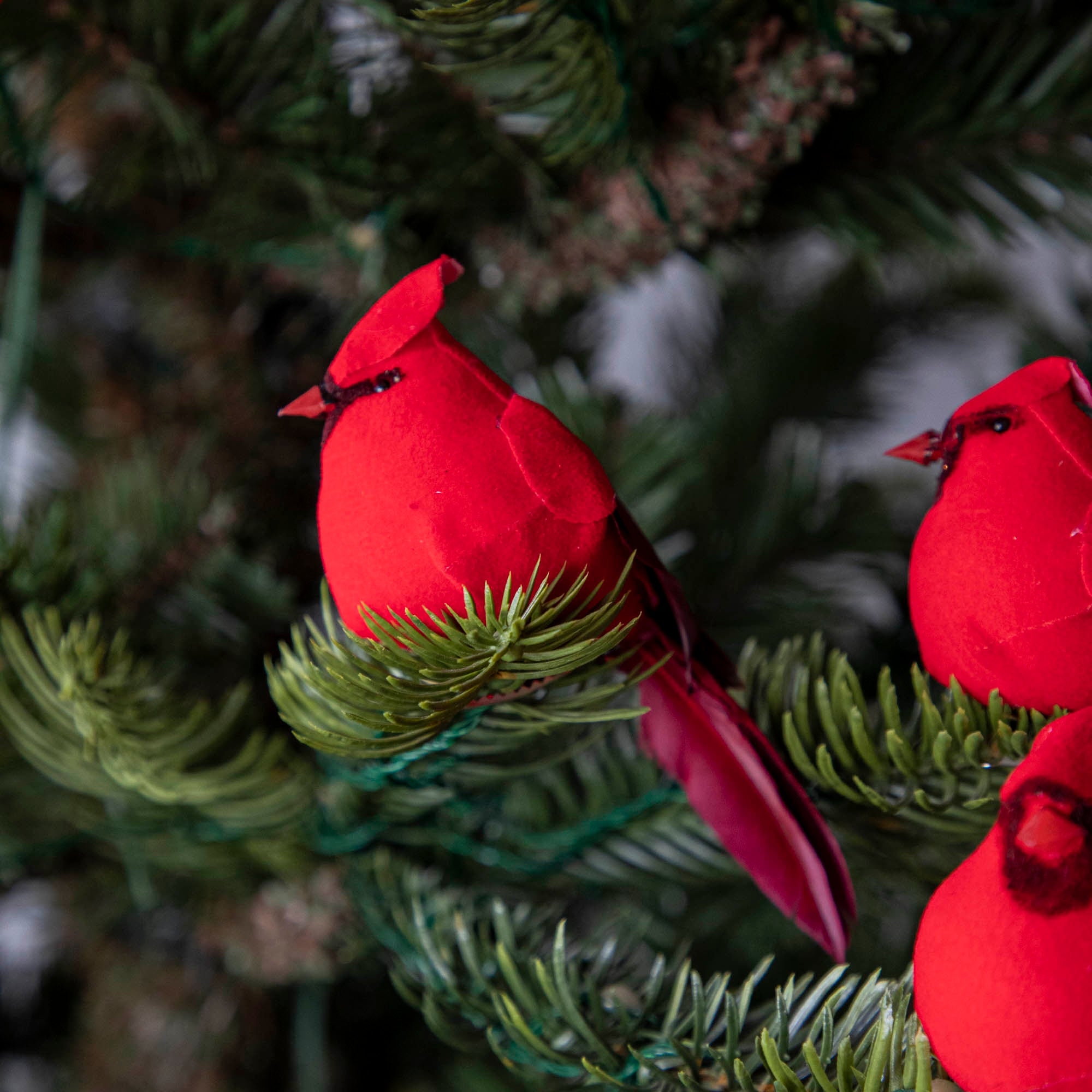 Red cardinal ornaments clipped to a Christmas Tree.