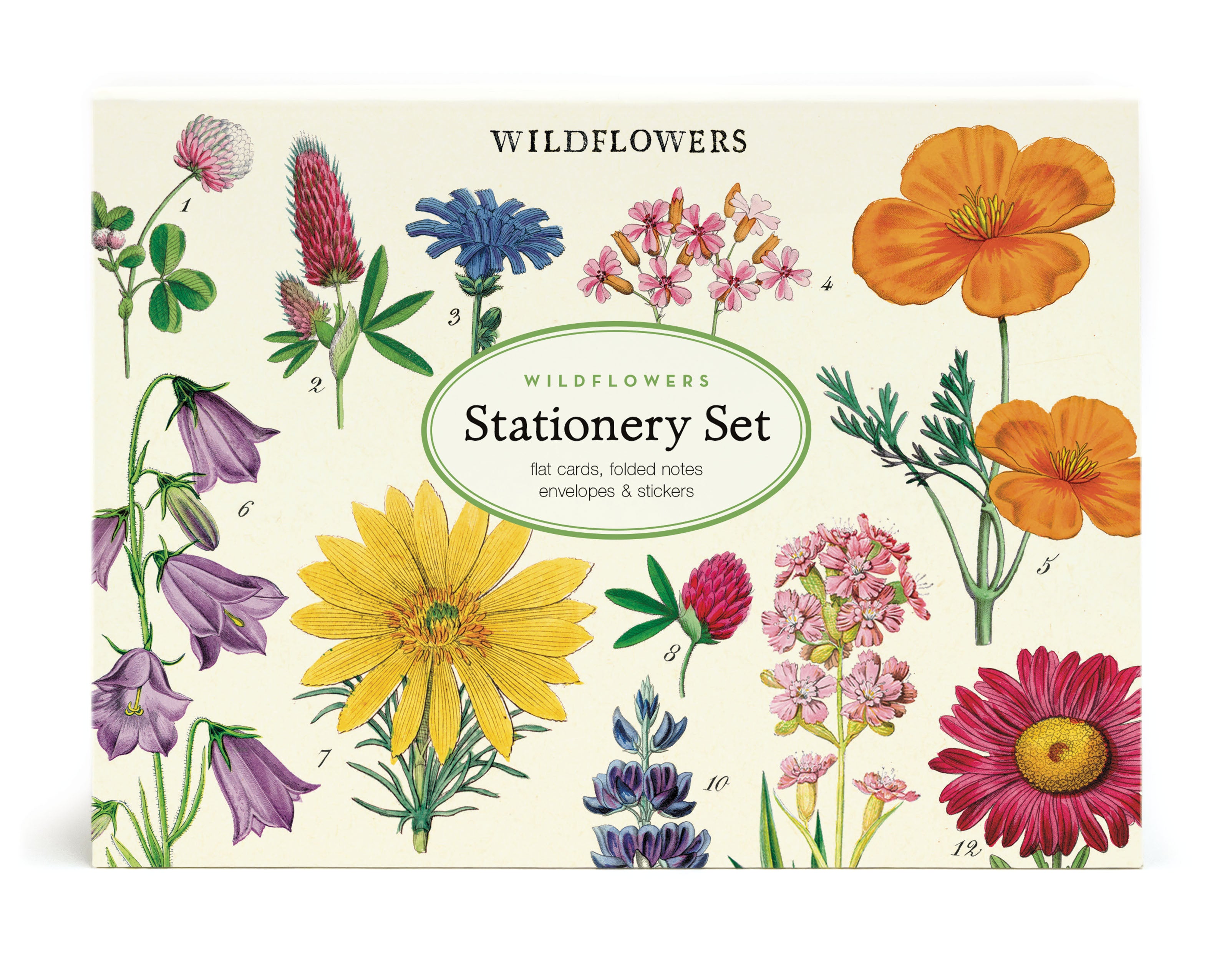 A Cavallini Papers &amp; Co Wildflowers Stationery Set featuring correspondence cards with illustrations of various colorful wildflowers.