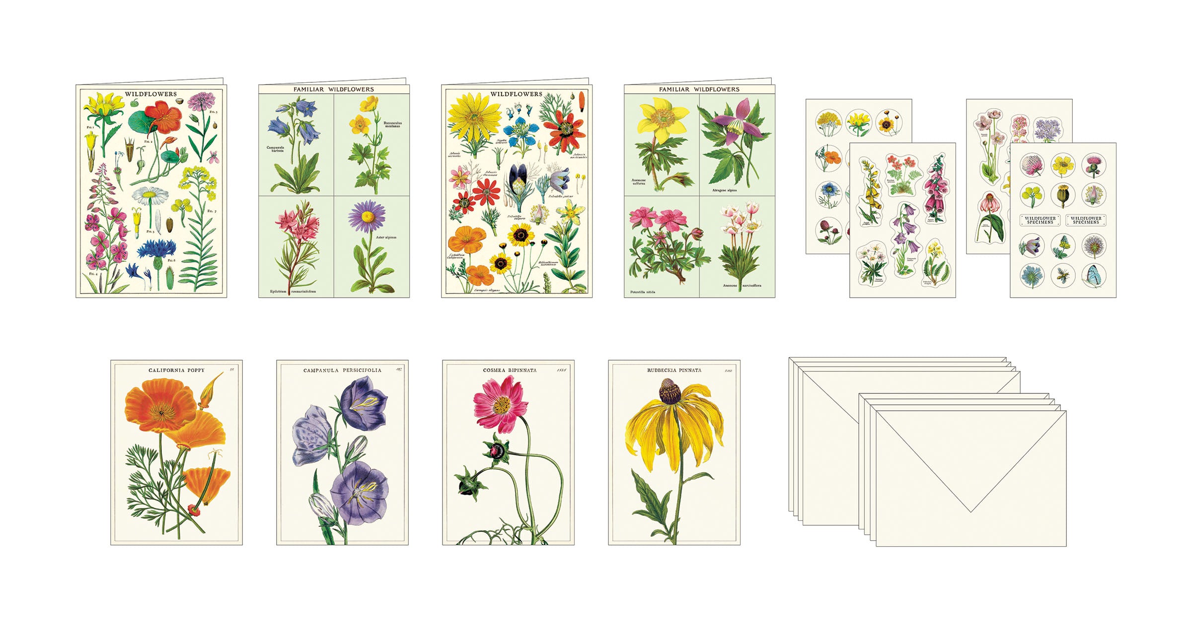 A Cavallini Papers &amp; Co Wildflowers Stationery Set featuring correspondence cards with illustrations of various colorful wildflowers.