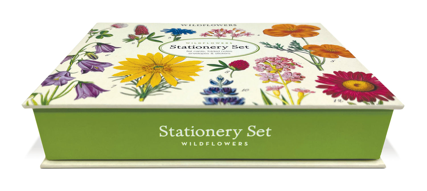 A Cavallini Papers &amp; Co Wildflowers Stationery Set featuring correspondence cards with illustrations of various colorful wildflowers.