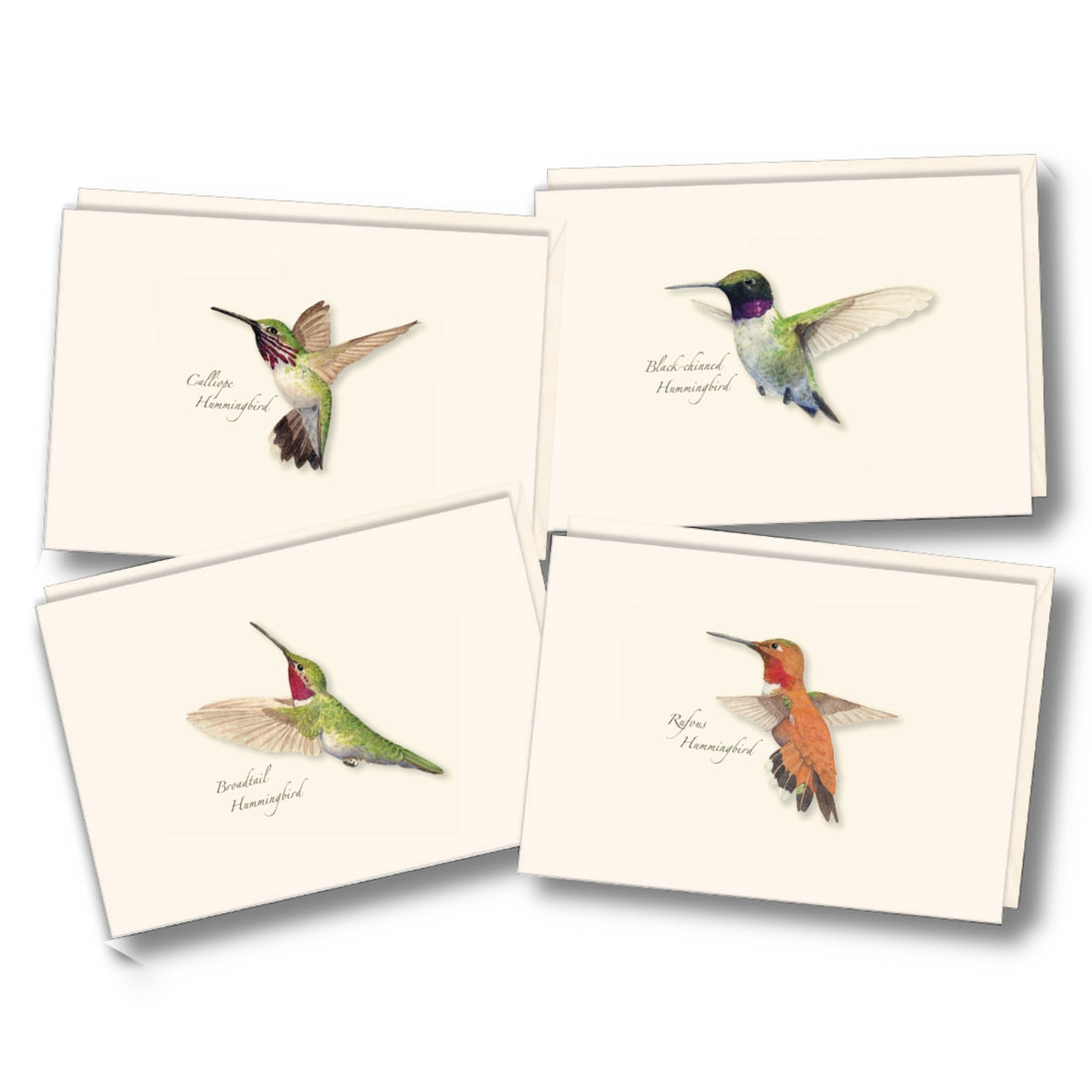 Flat lay of all 4 Hummingbird Cards