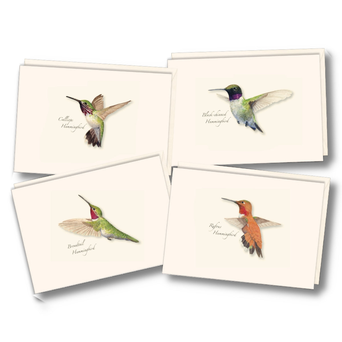 Flat lay of all 4 Hummingbird Cards