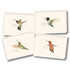 Flat lay of all 4 Hummingbird Cards