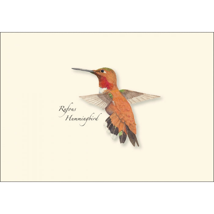 Rufous Hummingbird Card