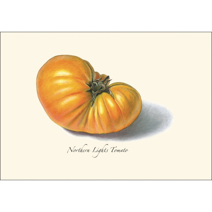 Tomato Assortment Boxed Set of Cards