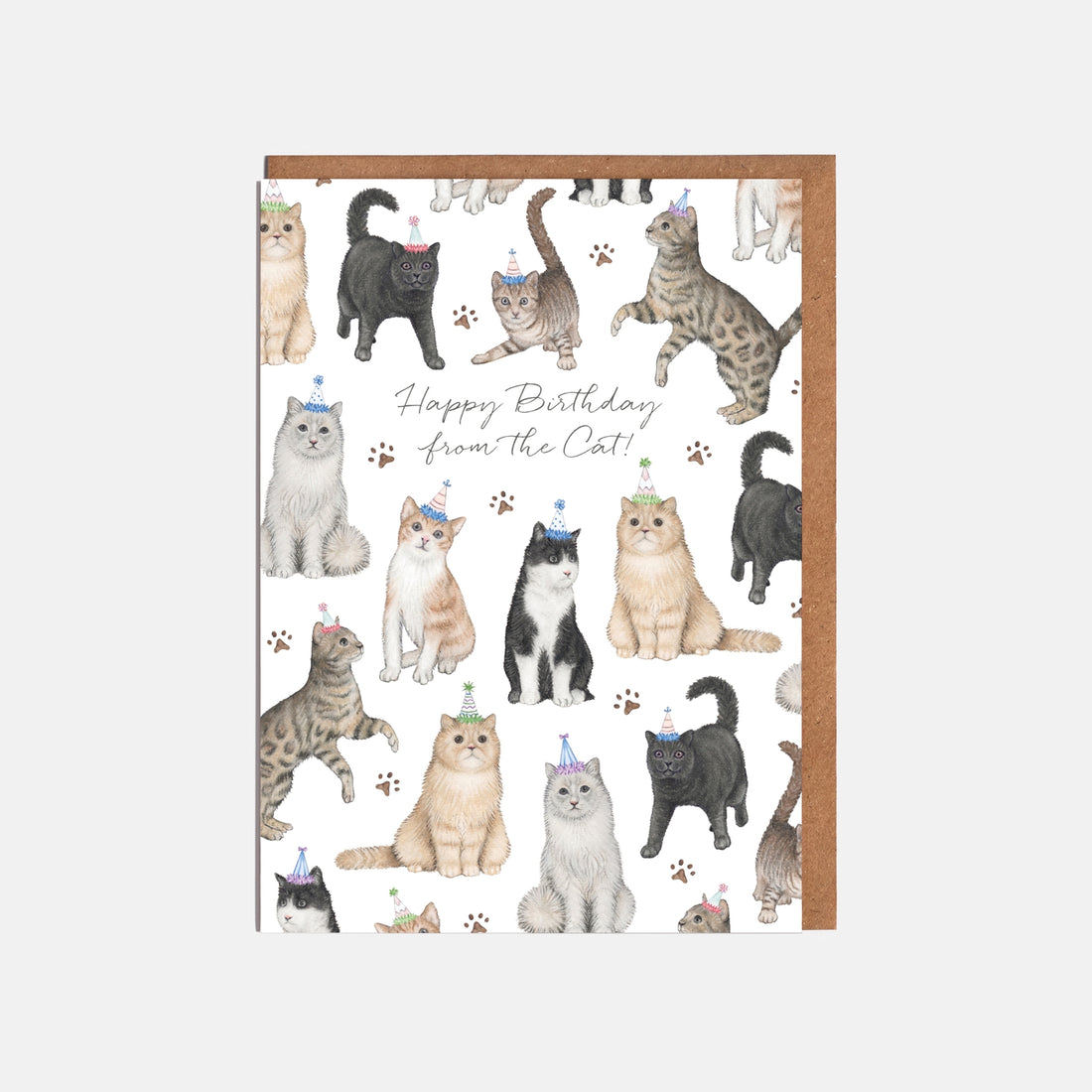 Greeting card with illustrations of cats wearing birthday hats on a white background