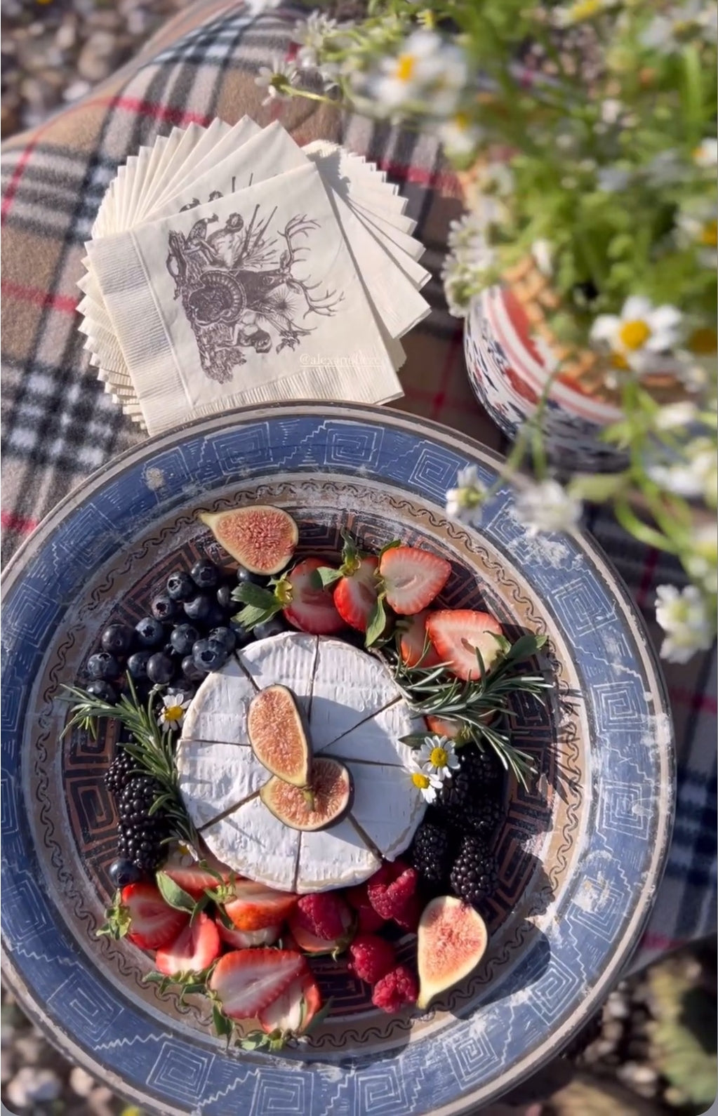Platter with Brie cheese, figs, berries, and strawberries on a decorative plate with flowers and plaid fabric in the background. along with On the Hunt Napkins. 