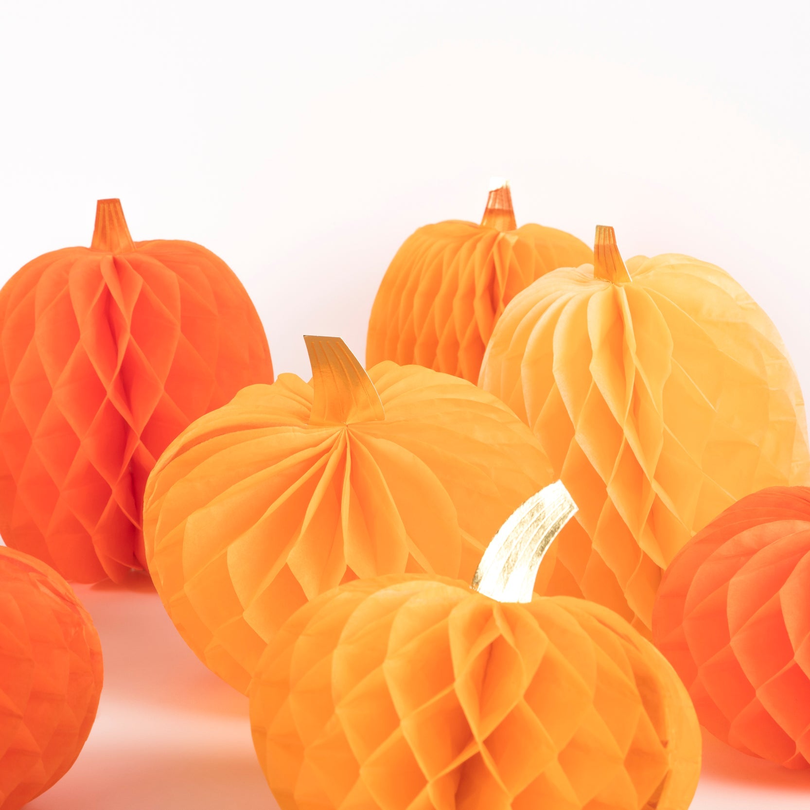 Close up of Honeycomb Pumpkins.