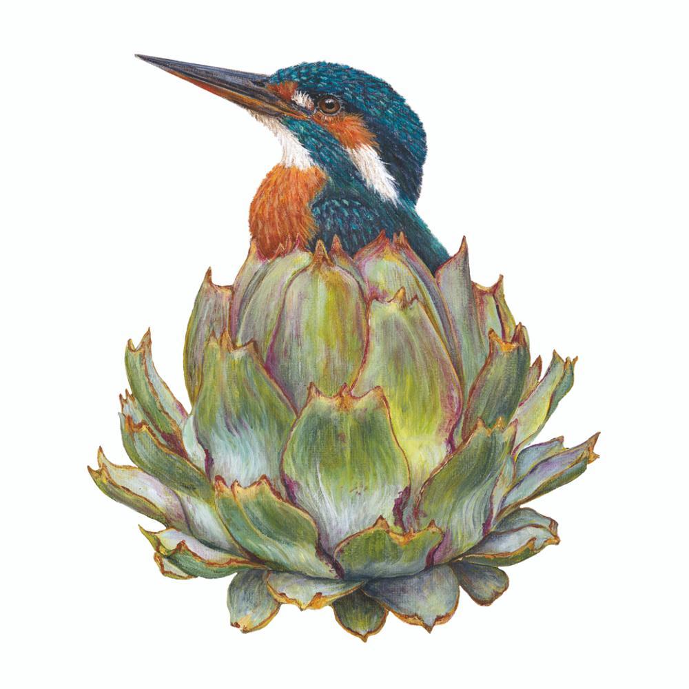 Aubrey Beverage Napkins perched atop an artichoke in Vicki Sawyer artwork - Paper Products Design.