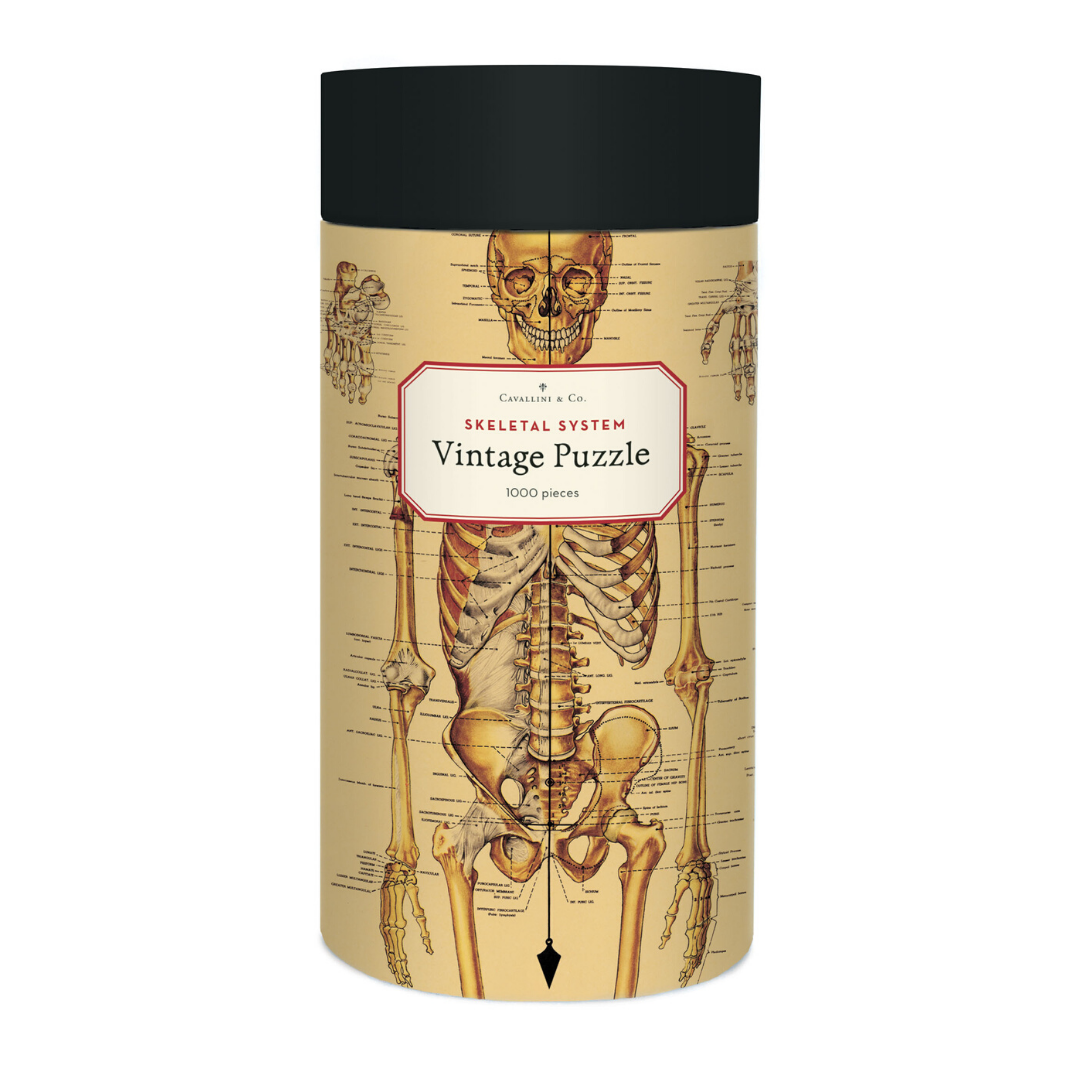 A cylindrical packaging tube for a vintage-style Skeletal System puzzle, featuring an illustrated anatomical image.