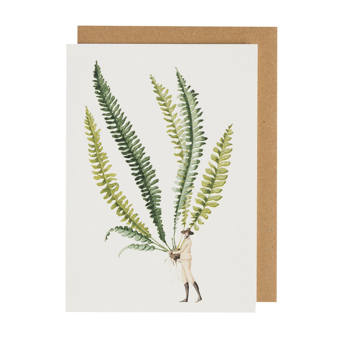 An illustration of fern leaves on a Hester & Cook Fabulous Ferns 1 Greeting Card.