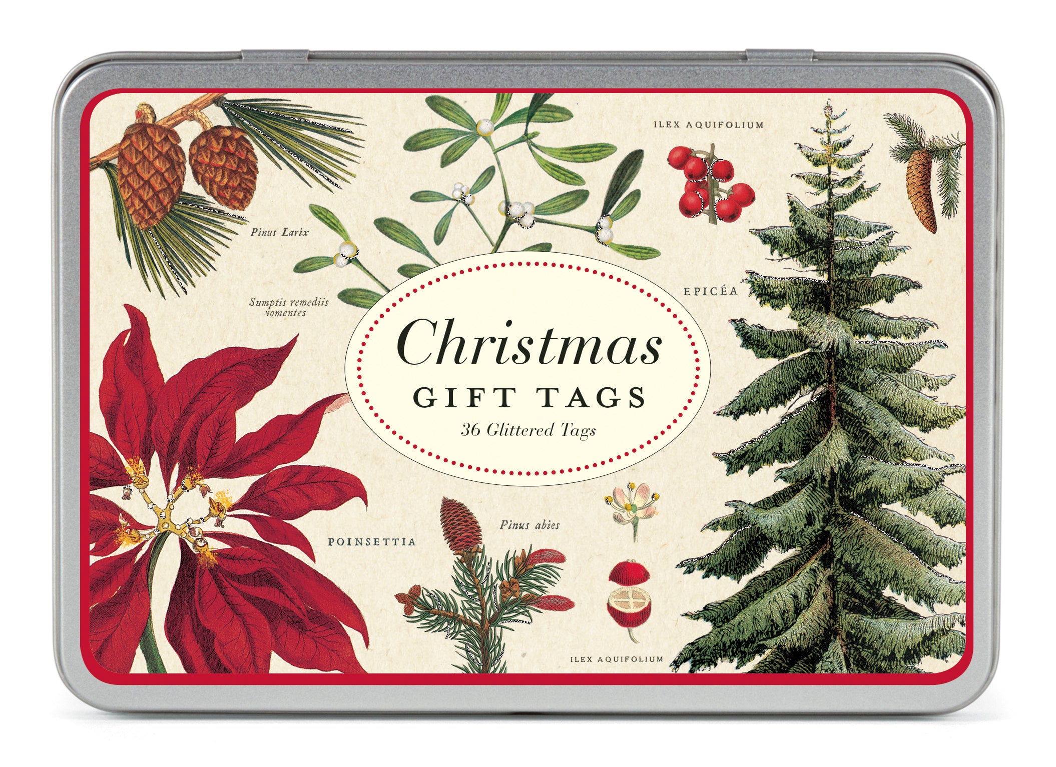 Box for Cavallini Botanical Gift Tags.