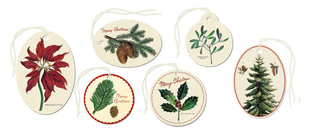 6 Gift Tags by Cavallini with assorted holiday greenery printed on them.