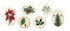 6 Gift Tags by Cavallini with assorted holiday greenery printed on them. 