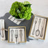 A silver lacquered napkin holder in cocktail and guest size with napkins in them on a grey background and a vase of flowers. 