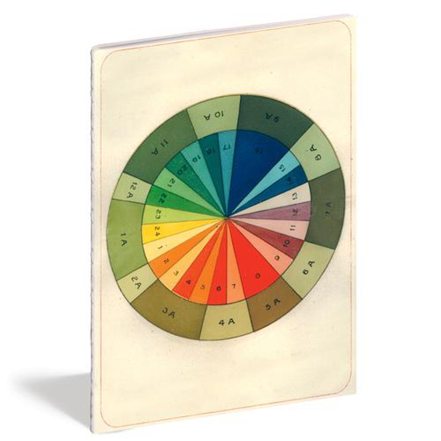 John Derian: Color Studies Notebooks, Set of 3