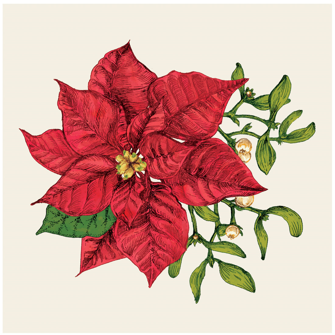 A square, cream cocktail napkin featuring a vintage-style illustration of a red poinsettia bloom with green and white mistletoe.