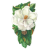 A die-cut illustration of a large white magnolia bloom surrounded by green and brown leaves.