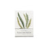 A Fabulous Ferns Postcard Book from Hester & Cook featuring elegant fern leaves.