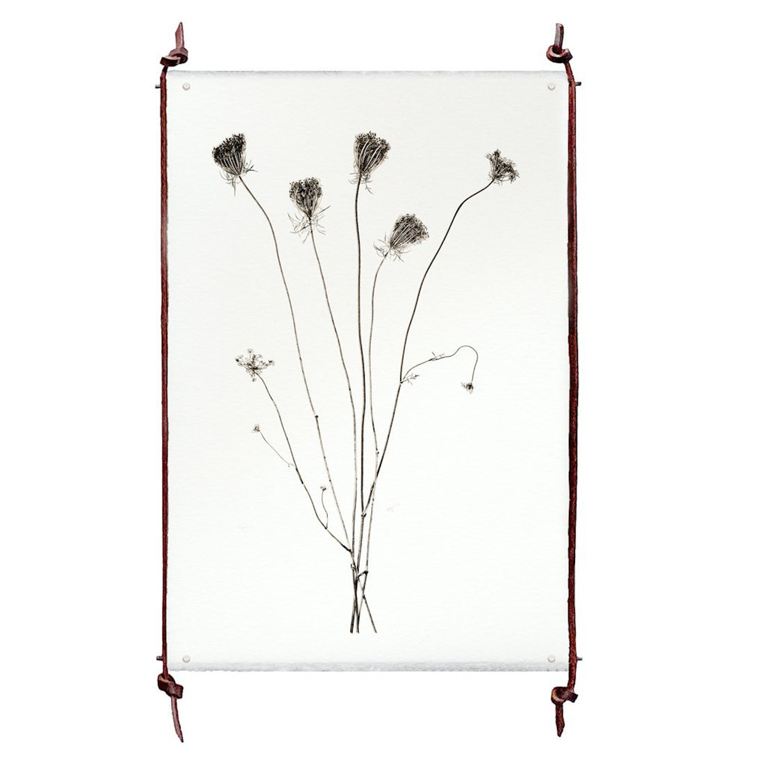 Single Grand Format Leather &amp; Steel Hanger