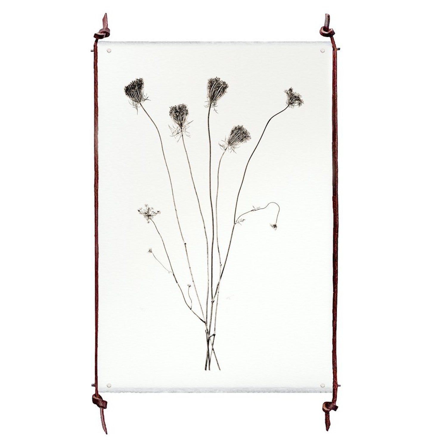 Single Grand Format Leather &amp; Steel Hanger