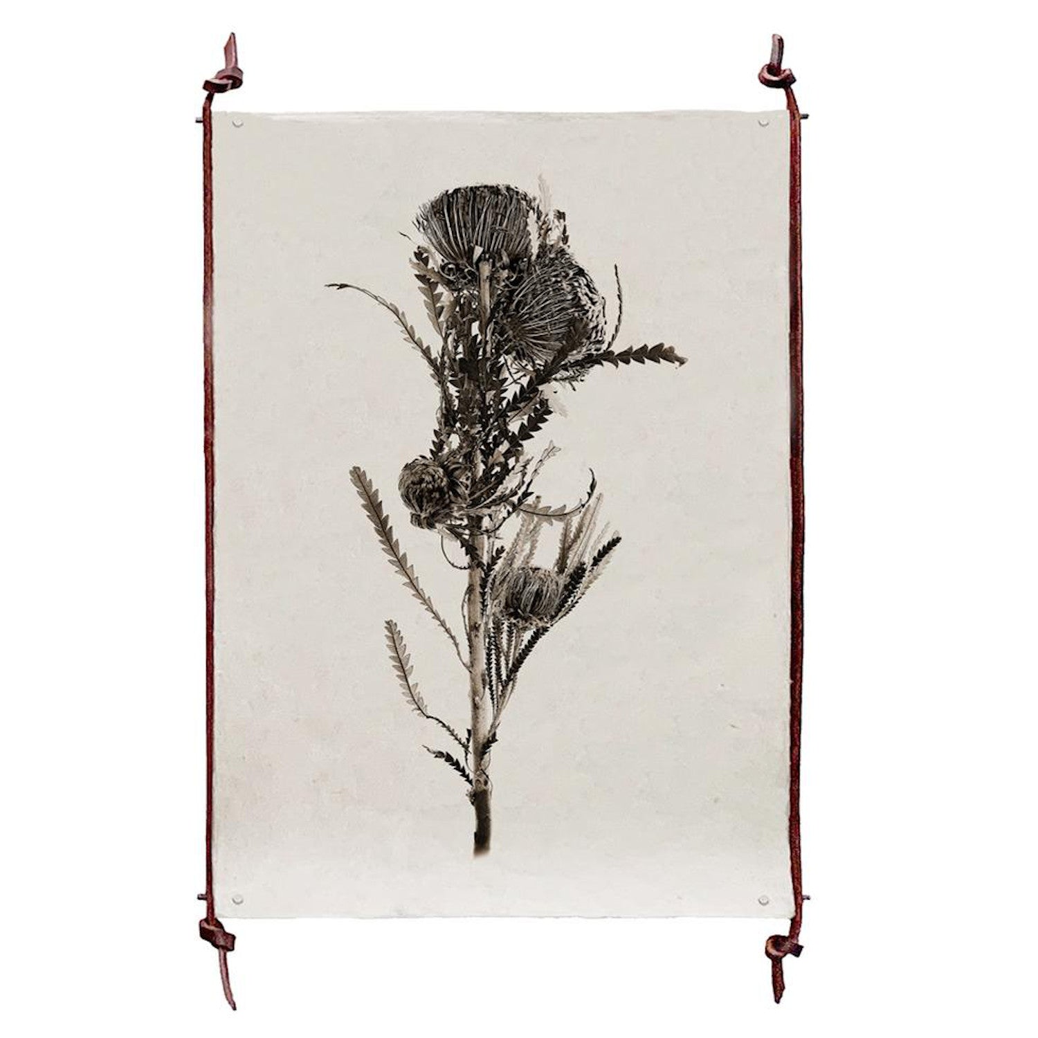 Single Standard Print Leather & Steel Hanger