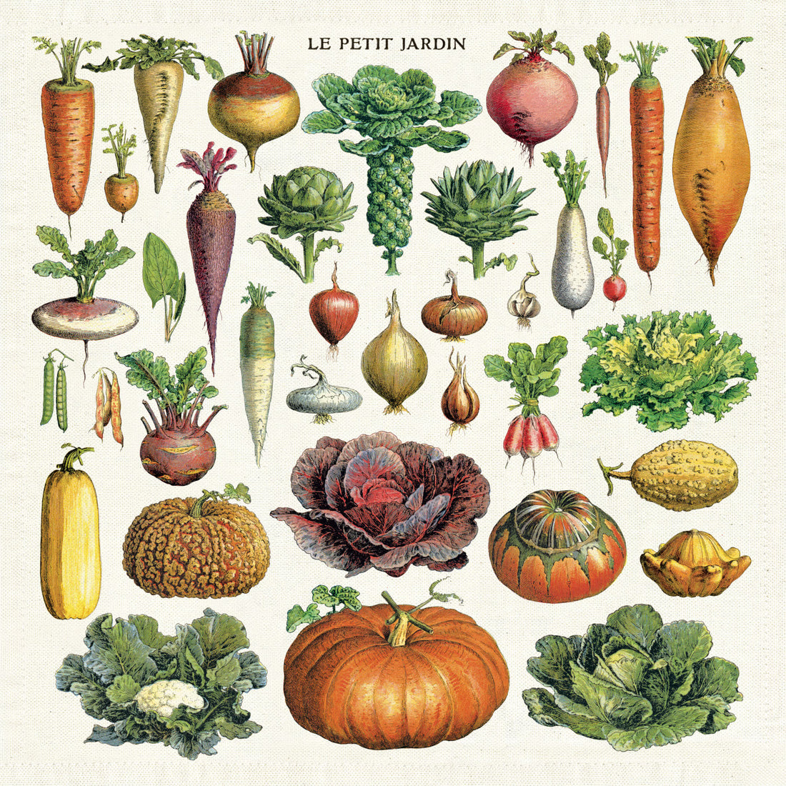 A collection of various vegetables and fruits, commonly found in a garden, illustrated in a colorful and detailed manner. The words &