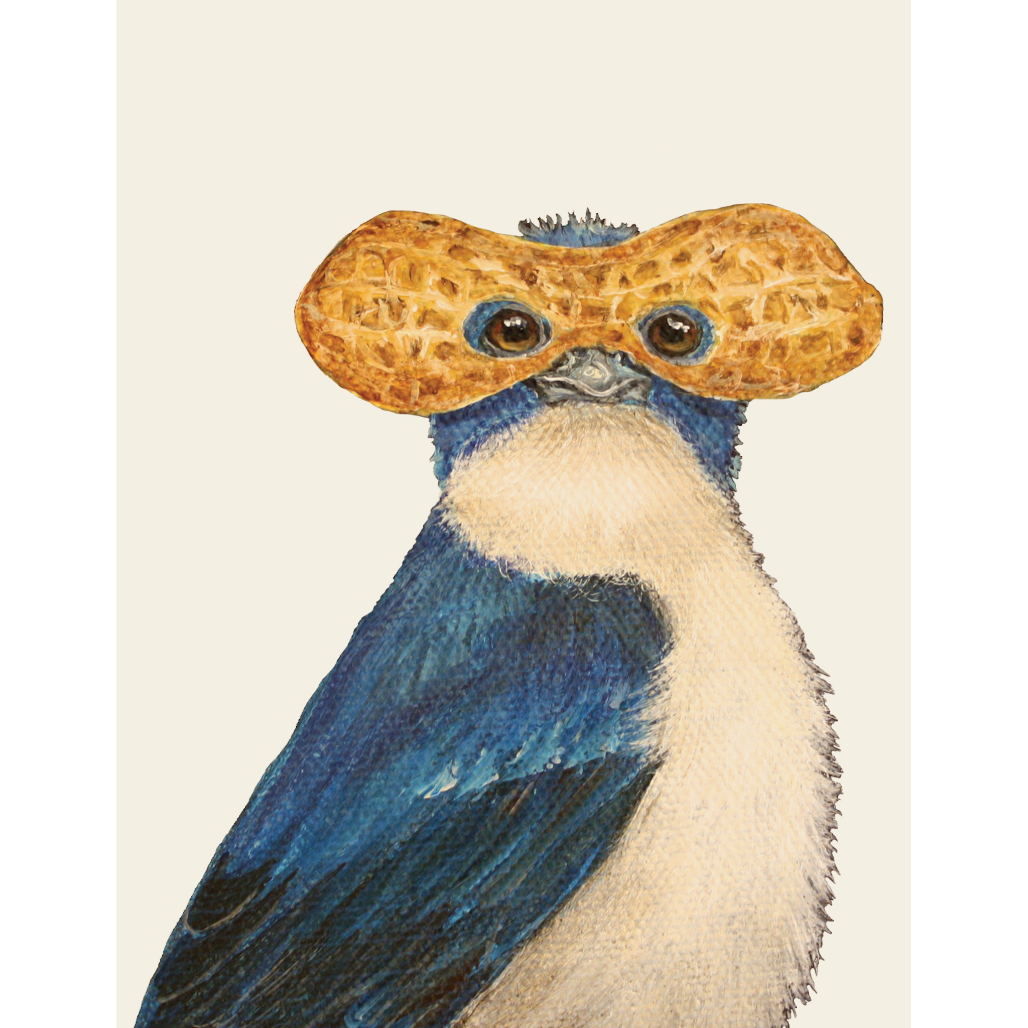 A cream greeting card featuring a funny illustration of a blue bird wearing a peanut shell as a mask.