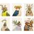 A set of Songbird Portrait Signature Boxed Set Cards with birds wearing hats from Hester & Cook.