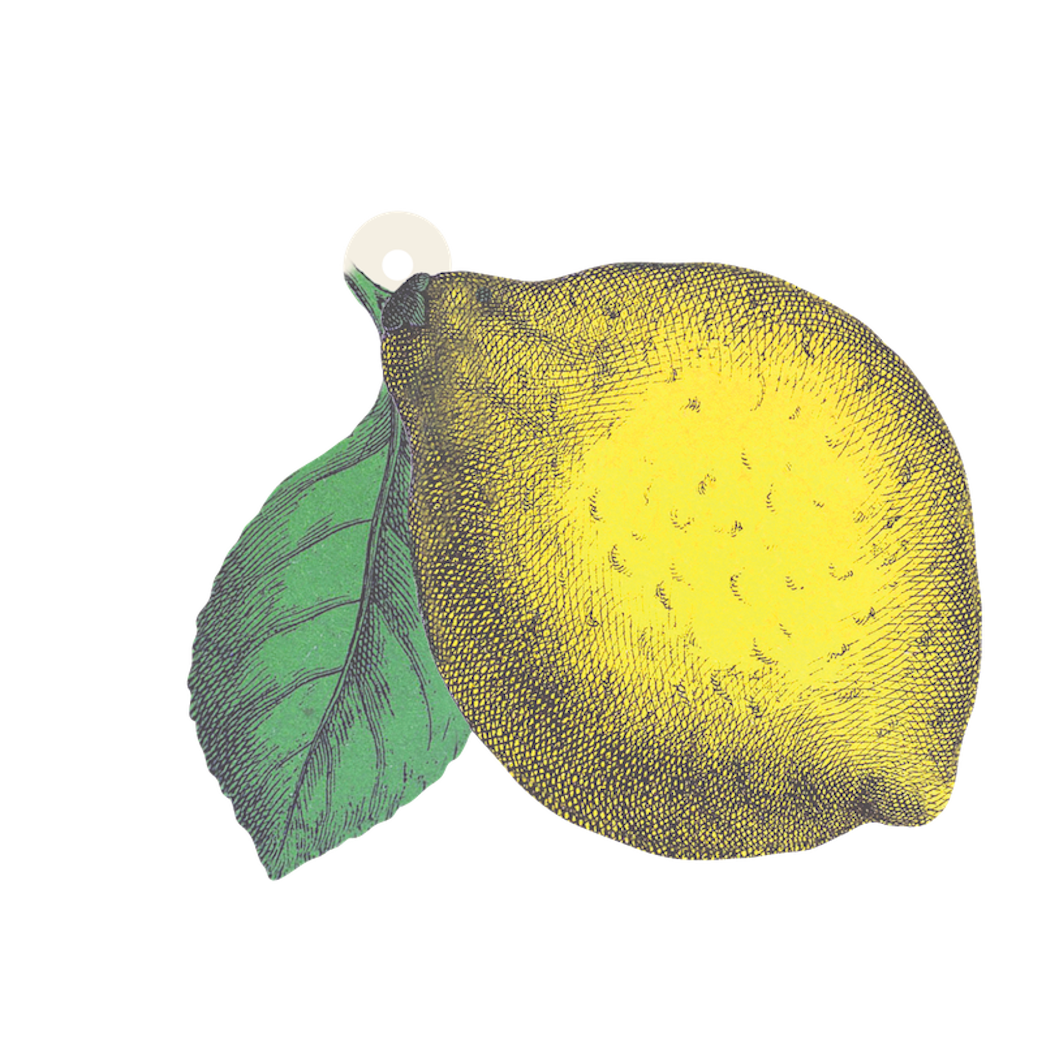 A Lemon Gift Tag with a leaf on a black background, perfect for Hester & Cook Lemon gift tags design.
