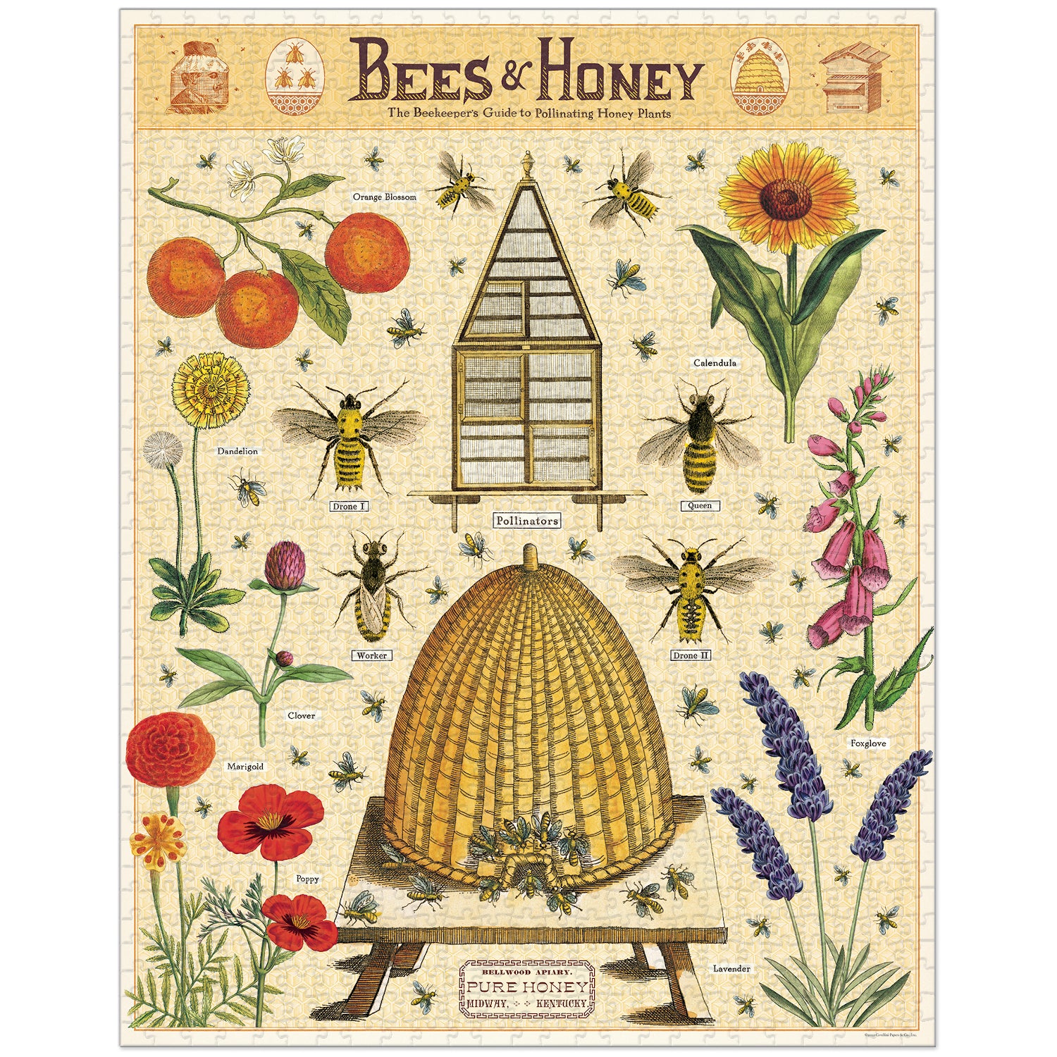Bees & Honey Puzzle