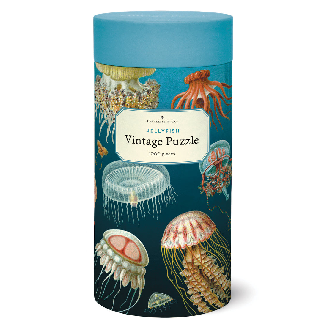 A 1000-piece Cavallini Papers & Co Jellyfish Puzzle featuring vintage illustrations of various jellyfish species from the Cavallini archives, packaged in a cylindrical box.