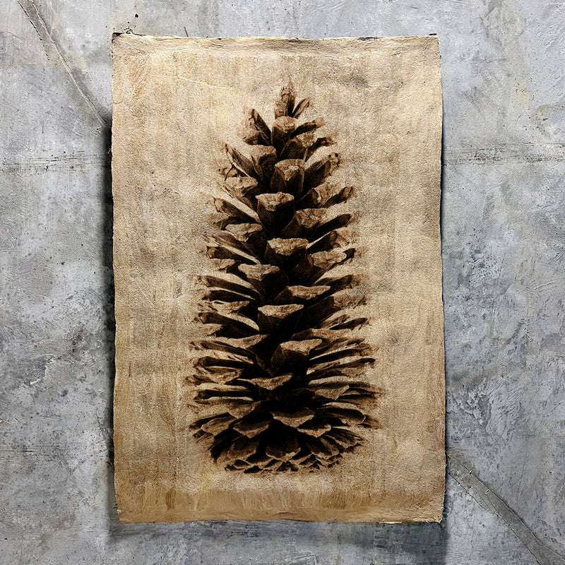 Loblolly Pine on Amate Sierra Art Print